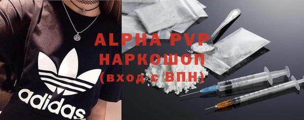 гашик Алексеевка