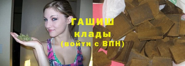 ешки Алексин