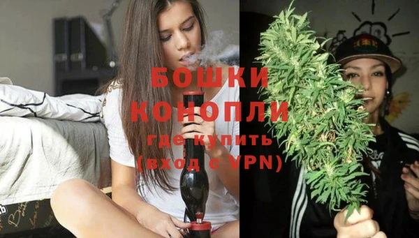 индика Пересвет
