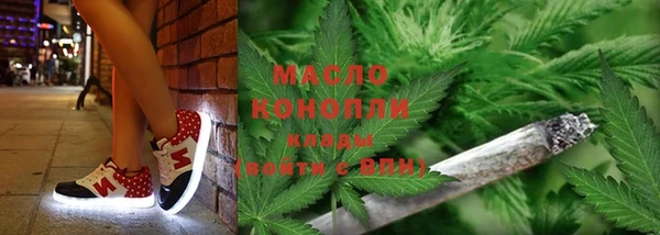 гашик Алексеевка