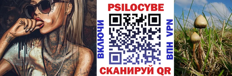 блэк спрут как зайти  Мантурово  Галлюциногенные грибы мухоморы 